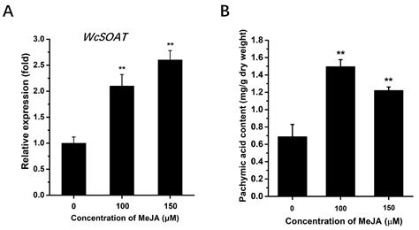 Functional Analysis of Sterol O-Acyltransferase Involved in the ...