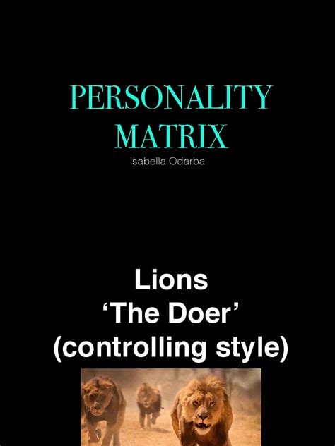Image result for Personality Matrix