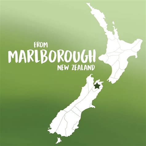 Starborough New Zealand Sauvignon Blanc White Wine - Shop Wine at H-E-B