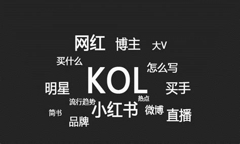 每个品牌都应该知道利用KOL营销的12个好处 - 知乎