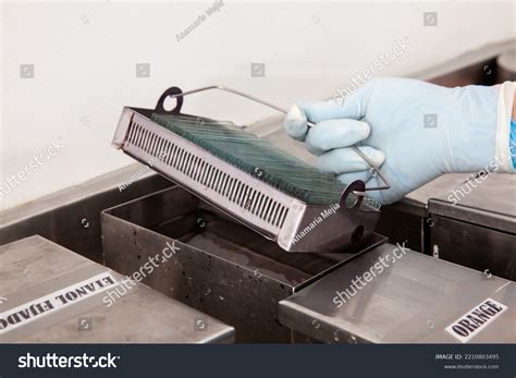 Microscope Slide 的图像结果