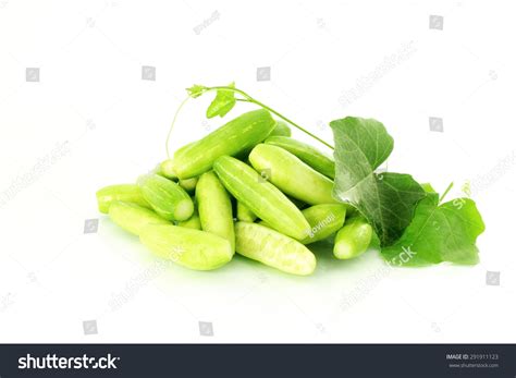 Tindora: Over 1,190 Royalty-Free Licensable Stock Photos | Shutterstock