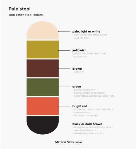 Stool Color Chart Human 的图像结果