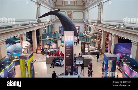 Smithsonian Museum 的图像结果