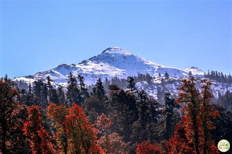 Kedarkantha Trek – A Magical Snow Summit Journey in Uttarakhand