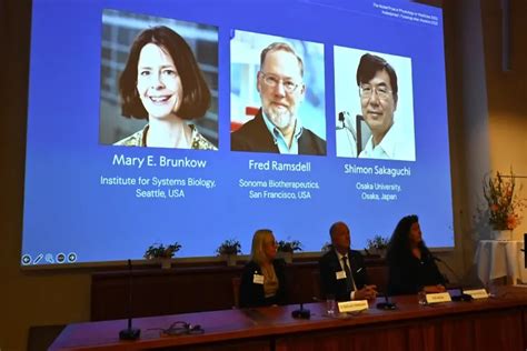 Nobel Medicine Prize honors breakthrough in peripheral immune tolerance