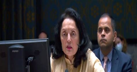 UNSC में भारत ने रूस-यूक्रेन युद्ध पर रखा अपना पक्ष, कहा- बातचीत और ...