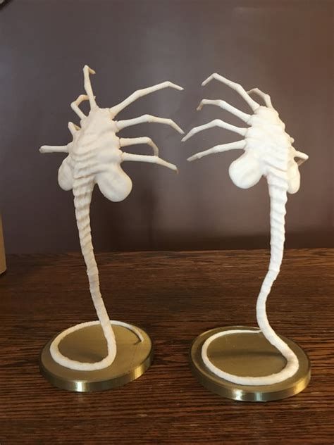 Alien Xenomorph Face Hugger Attacking 的图像结果