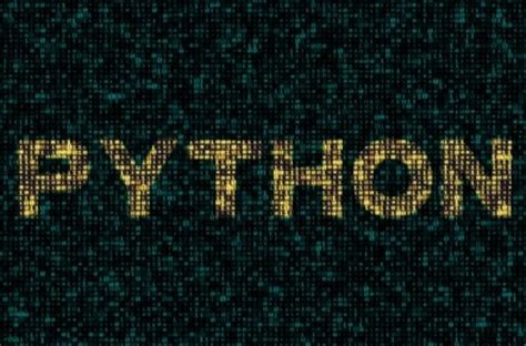 Python Programmer 的图像结果