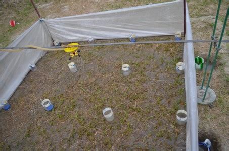 Faculty of Technology