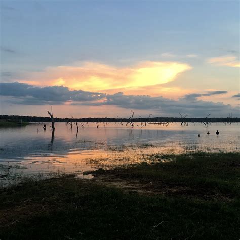 LAKE VIEW PARK (2026) All You Need to Know BEFORE You Go (with Photos ...