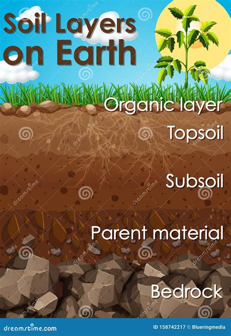 Earth Soil 的图像结果