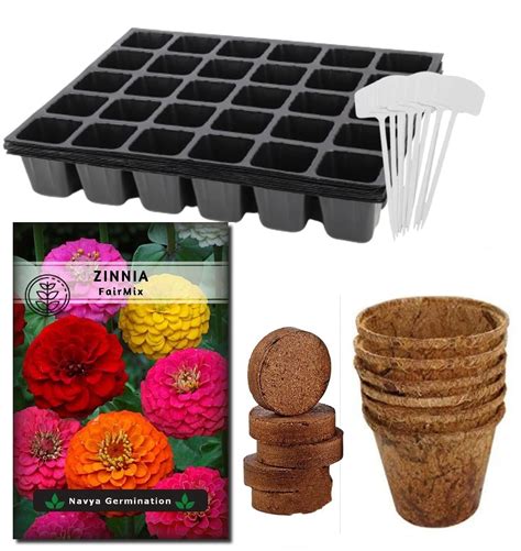 Zinnia "Fair Mix" Seeds with Starter Kit for Seedlings, Starter Growing ...