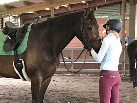 Lightness Clinic Weekend with Leanne Williams, Avoca Park Equestrian ...