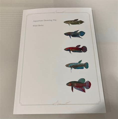 Aquarium Drawing File Wild Betta | Osakanacraft