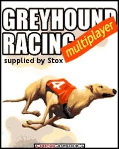 Greyhound racing multiplayer 240x320 java game free download : Dertz