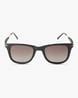 Buy Brown & Black Sunglasses for Men by Ted Smith Online | Ajio.com