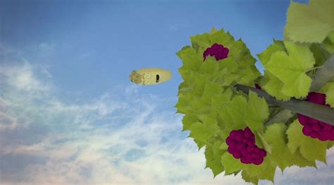 Image result for Grapefruiting Scene