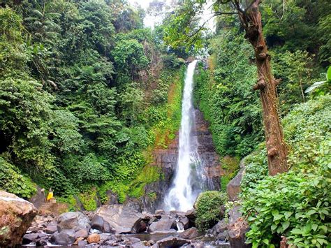 THE 10 BEST Bali Waterfalls (2025) - with Reviews