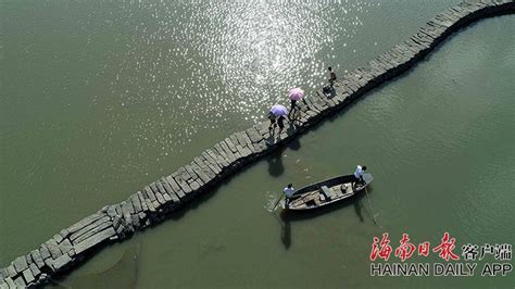 放生成杀生！上海苏州河频现死鱼，常有人用滑槽批量放生大鱼