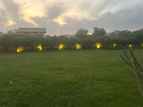 GULDAAR - A LUXURY FOREST RETREAT (Ghewar) - Hotel Reviews, Photos ...