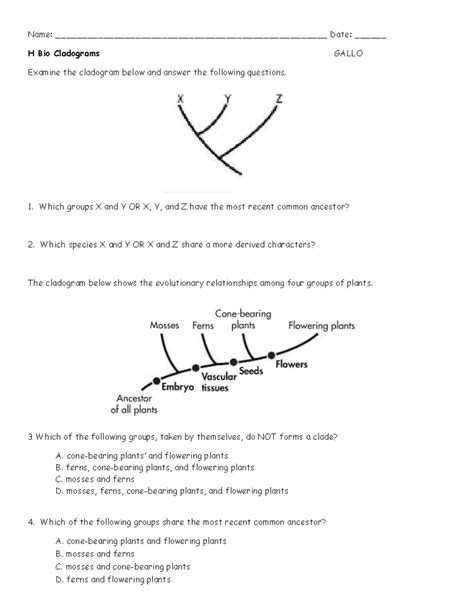Image result for Cladogram Practice Worksheet