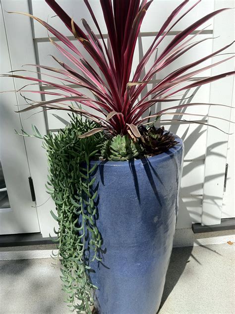 20 Contemporary Garden Planters Ideas You Cannot Miss | SharonSable