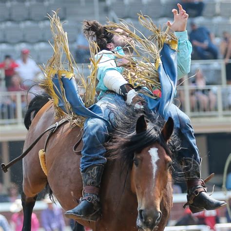 Calgary Rodeo 的图像结果