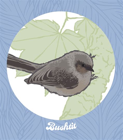PNW Little Brown Jobs birding sticker sheet » Calyx Design