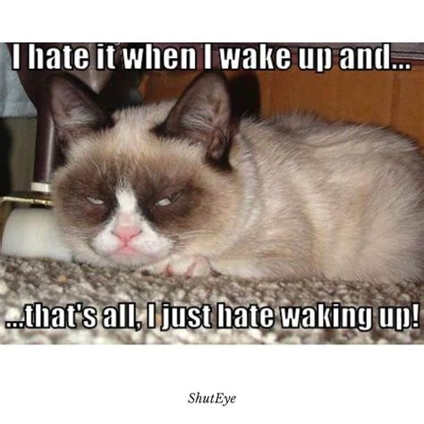 30+ Funny Waking Up Memes That Brighten Your Day - ShutEye