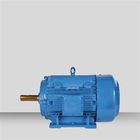Industrial Motors Authorized Dealer & Supplier, Mumbai, India ...