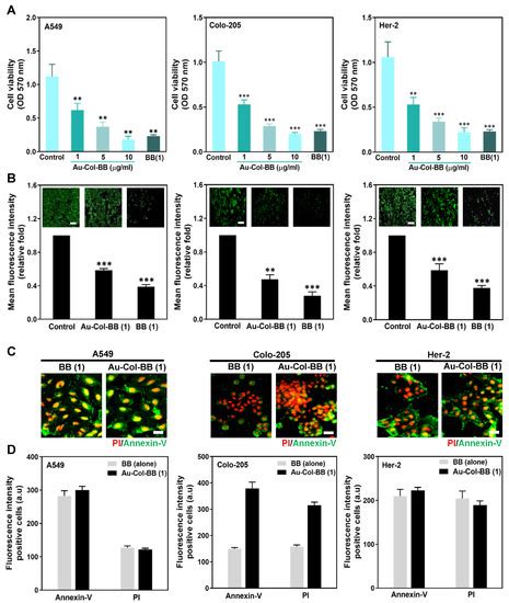 Delivery Capacity and Anticancer Ability of the Berberine-Loaded Gold ...