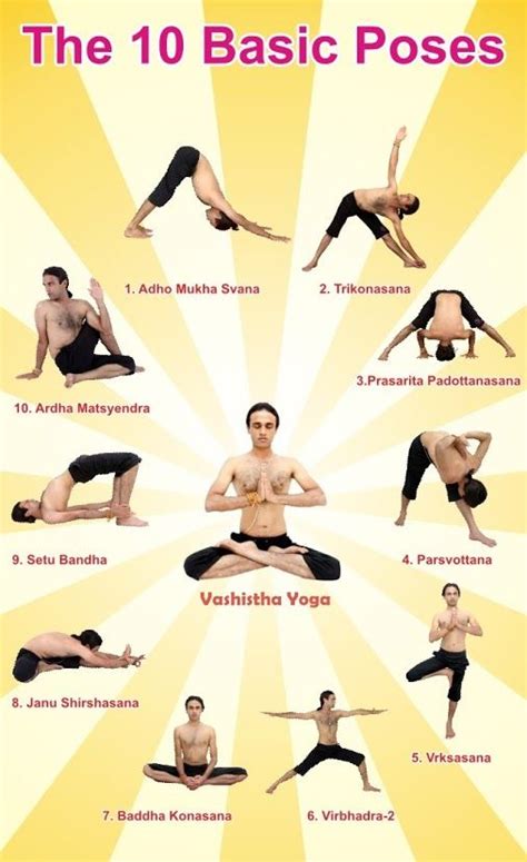Image result for Basic Yoga Postures