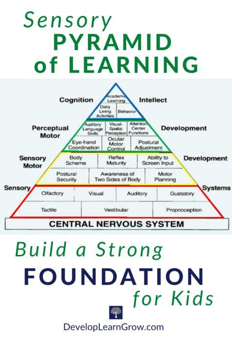 Image result for Learning Pyramid Activities