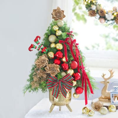 Holly Jolly Harvest: Order Christmas Flowers Online | Interflora India ...