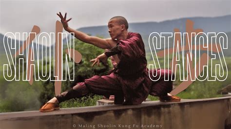 Série de Posturas: Postura Baixa (Pu Bu) - Maling Shaolin Kung Fu Academy