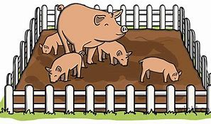 Image result for Farm Pig Sty
