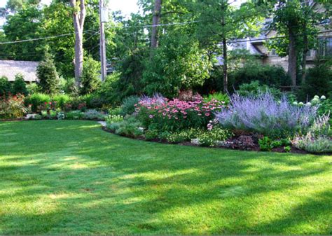 Sage, Purple Coneflower, Moonbeam Coreopsis, Palace Purple Coral Bells ...