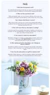 Flower Subscription Bag | Flower Subscription India
