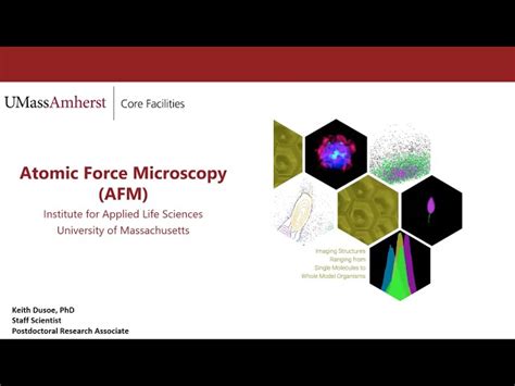 Core Facilities Seminar Series - Atomic Force Microscopy | Institute ...