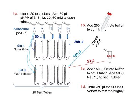 Image result for Lab Protocol