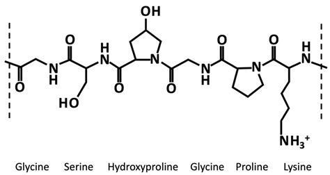 Structure and Properties of Gelatin | Encyclopedia MDPI