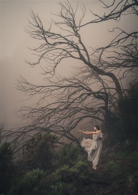 A Quiet Wild - Photography by Wendy Hansen