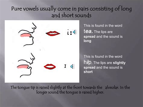 Image result for Phonetics Example