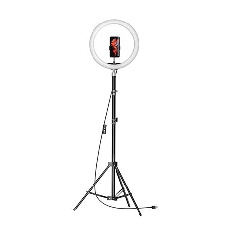 Amazon Basics LED Ring Light (12-inch) with Hot Shoe Adapter, Stand ...