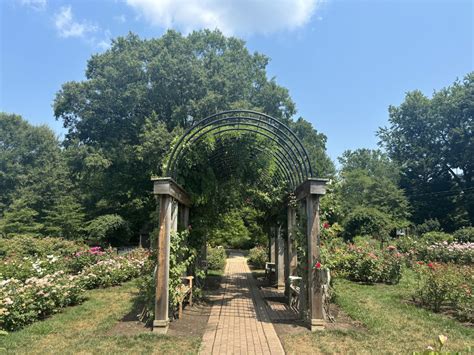 Fun Things to Do in Arlington: Bon Air Rose Garden & Park - The ...