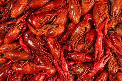 Crawfish vs. Crayfish - A-Z Animals