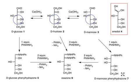 The reagent used for obtaining osazone derivative of fructose is (a ...