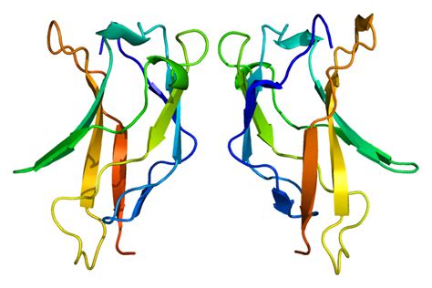 Image result for Rela Flow