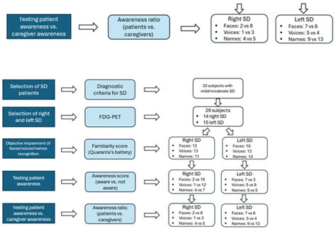 Correction: Luzzi et al. Defective Awareness of Person-Recognition ...